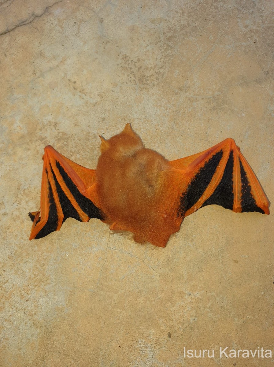 1 Bats
